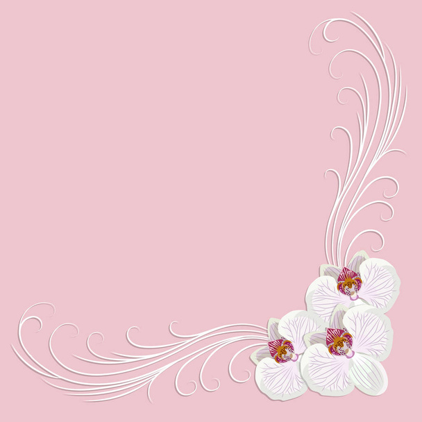 zarter Eckrahmen mit Orchideenblüten - Vektor, Bild