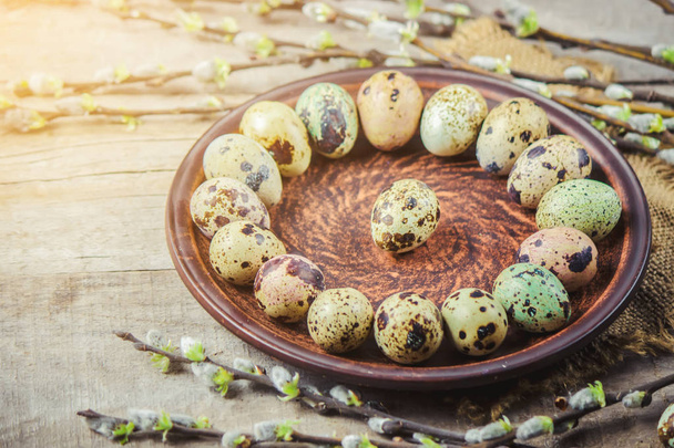 quail eggs on a beautiful spring background. Selective focus.  - Foto, Bild