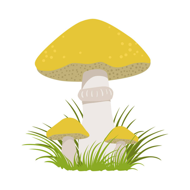 Slippery jack, suillus luteus, edible forest mushrooms. Colorful cartoon illustration - Vector, Image
