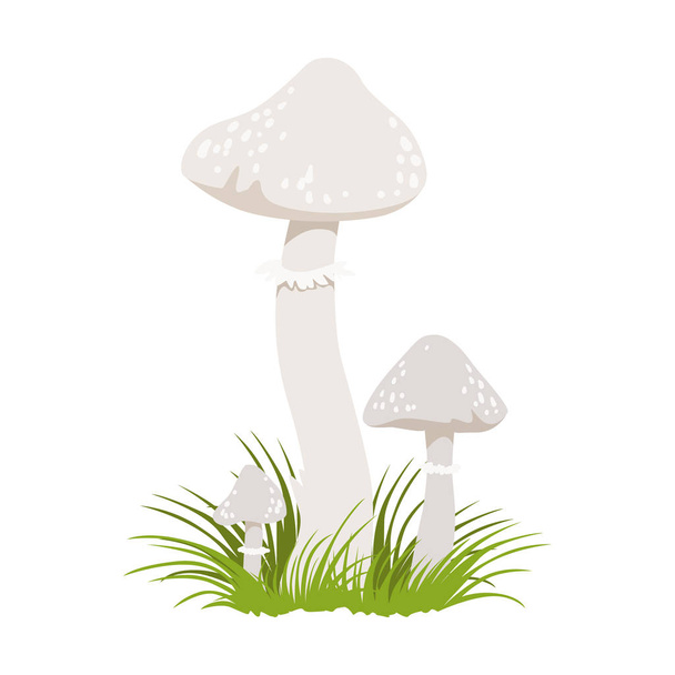 Amanita phalloides, poisonous mushrooms. Colorful cartoon illustration - Vector, Image