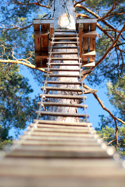 Obstacle course in the rope park - Photo, Image