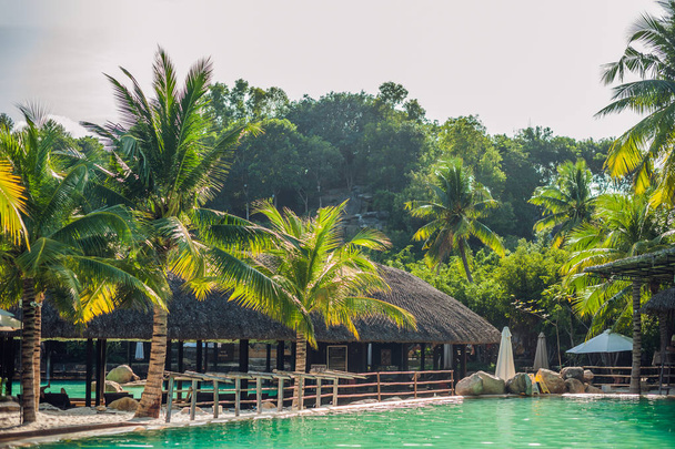 Swimming pool, palm trees  - Foto, Imagen