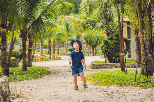 Boy walks in the park in Asia - 写真・画像