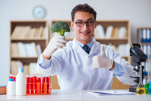 Bilim adamı organik meyve ve sebzeler üzerinde çalışıyor. - Fotoğraf, Görsel