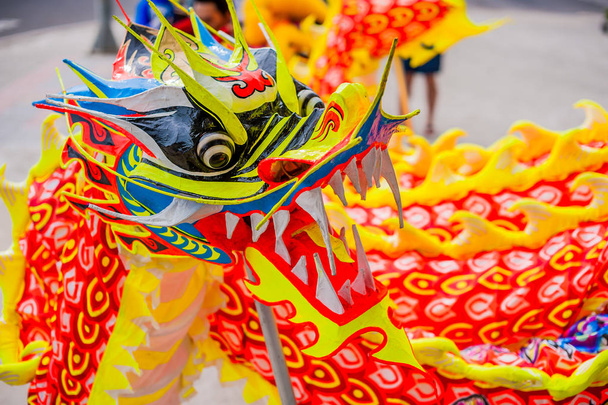 Lunar new year Asian dragon  - Photo, Image