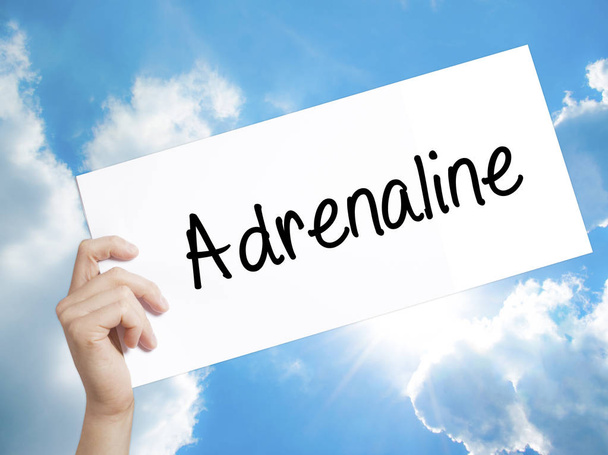 Adrenaline  Sign on white paper. Man Hand Holding Paper with tex - Photo, Image