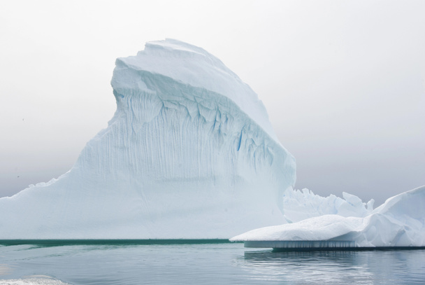 Buzdağı Antarktika sularında. - Fotoğraf, Görsel