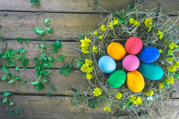 Multi-colored Easter eggs on a wooden background in the nest. - Foto, afbeelding