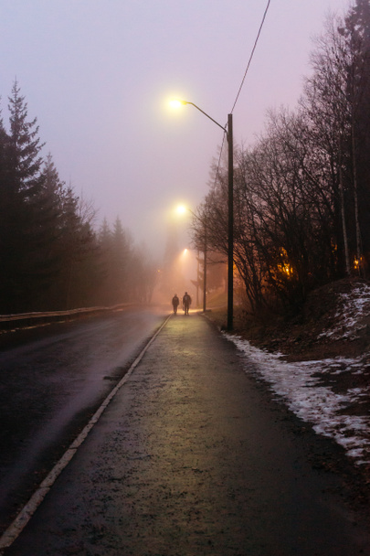 Двох людей, що йдуть вниз по дорозі в Осло - Фото, зображення