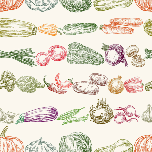 collection of the various vegetables - Vector, Imagen