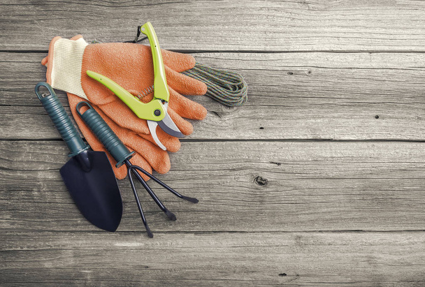 Gardening tools and gloves. - 写真・画像