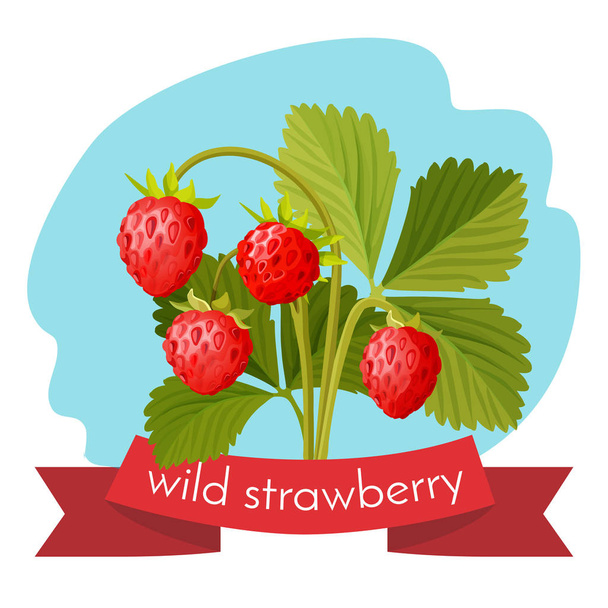 Wild strawberry with green leaves isolated on white background. - Vector, afbeelding