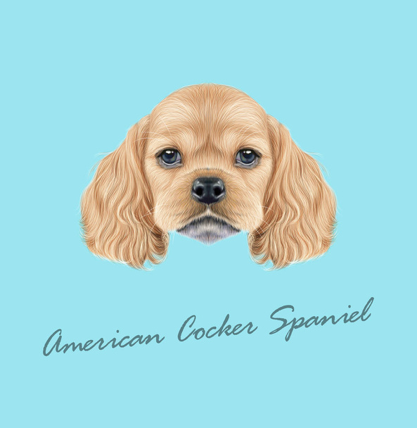 Vector Illustrated portrait of American Cocker Spaniel puppy - Vector, Image