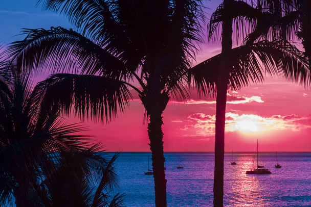 Maui Χαβάης παλάμες silhouetted  - Φωτογραφία, εικόνα
