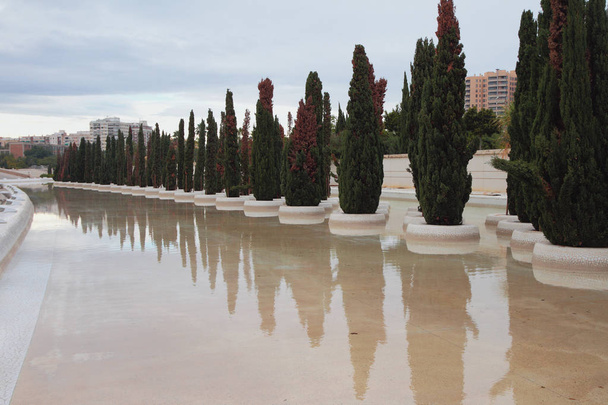 Avenue of cypresses, "City of art and science". Valencia, Spain - Foto, Bild