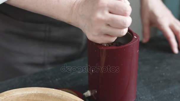 woman in the apron pours coffee beans into the grinder - Footage, Video