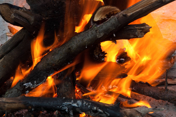 burning fire tree - Foto, imagen