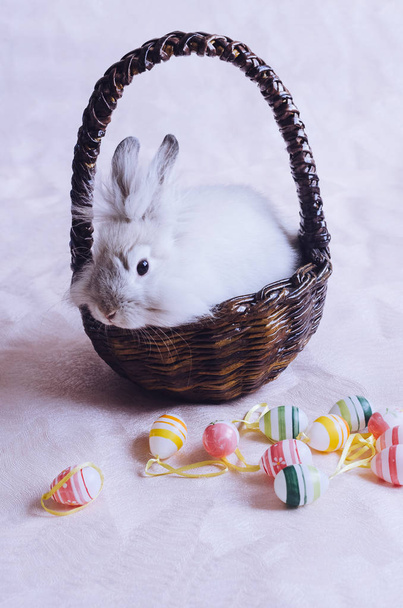 Кролик в корзине с пасхальными яйцами
 - Фото, изображение