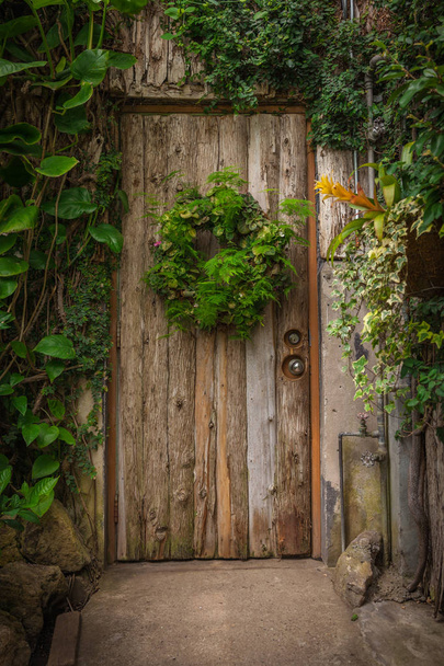 Wooden door in an old cottage in the forest covered with grass - Photo, Image