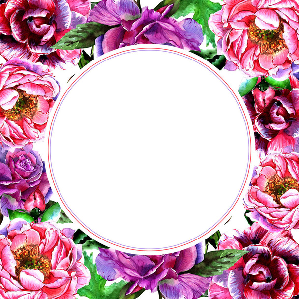 Wildflower peony flower frame in a watercolor style isolated. - Valokuva, kuva