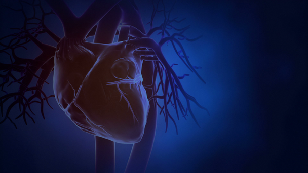 Latidos cardíacos en bucle
 - Metraje, vídeo