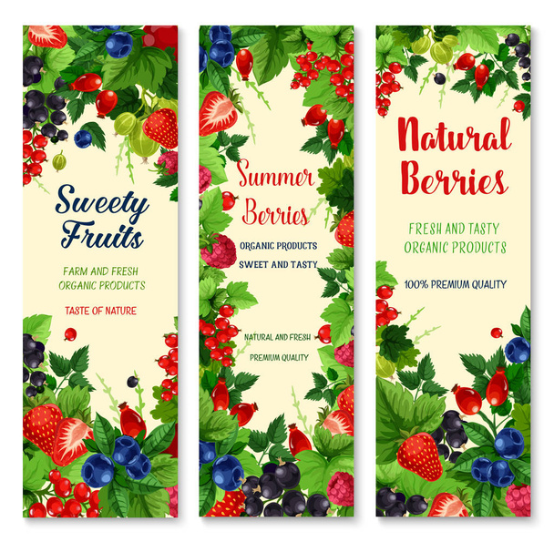 Набор векторных баннеров из свежих ягод и фруктов
 - Вектор,изображение