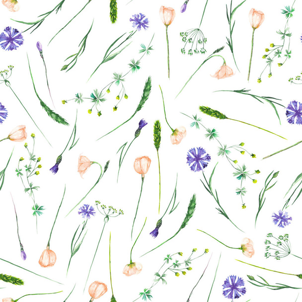 Seamless pattern with wildflowers, eustoma and cornflowers - Fotoğraf, Görsel