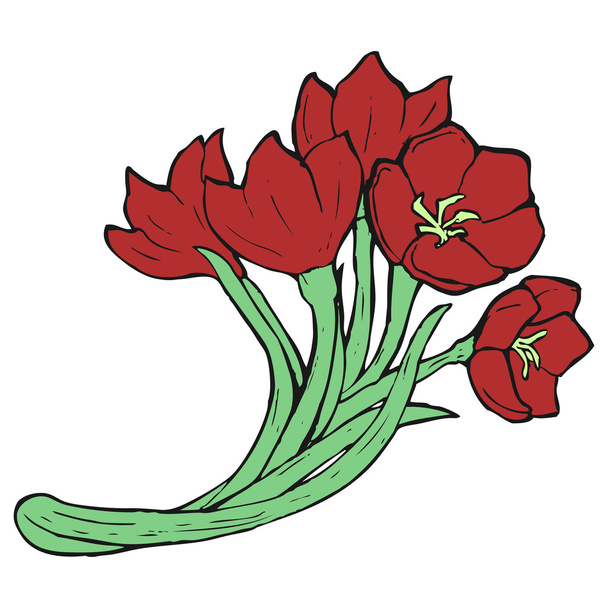 Red tulips illustration - Vector, Image