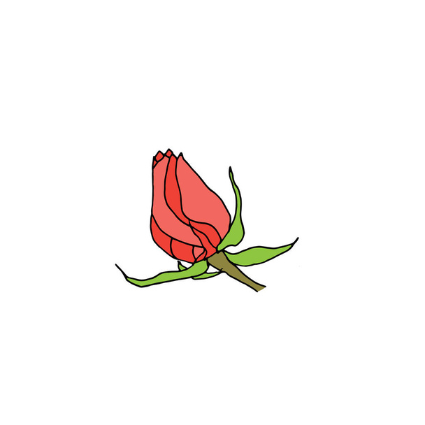 Pink rose bud isolated on white background. - Vektor, kép