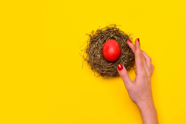 female hand with red painted easter egg in nest - Foto, imagen