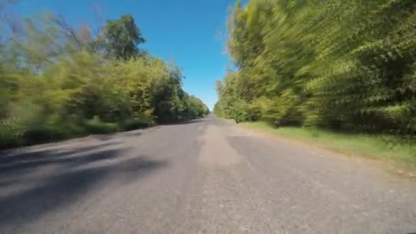 Het besturen van een auto op een land weg - Pov - oogpunt front. Videobeelden van een on-board camera op een auto rijden langs landelijke lane - Video