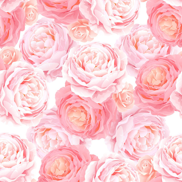 pattern with elegance color pink roses - Vector, afbeelding