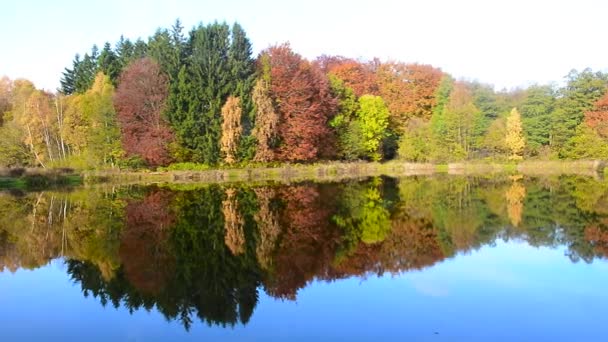 Forêt en couleurs d'automne - Séquence, vidéo