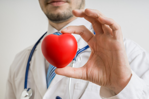 Cardiólogo médico sostiene el modelo de corazón en la mano
. - Foto, Imagen