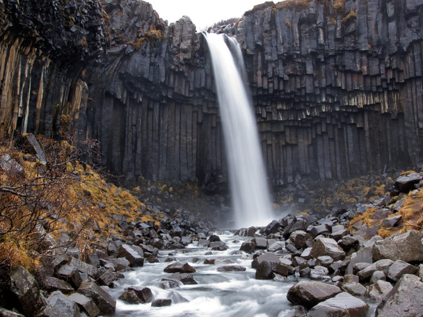 Svartifoss waterfall, Iceland - Photo, Image