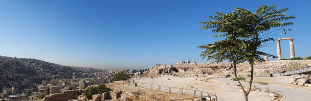 Amman: skyline della città, un albero e le rovine del Tempio di Ercole, la struttura romana più significativa della Cittadella di Amman, il sito storico e uno dei nuclei originali della città
 - Foto, immagini