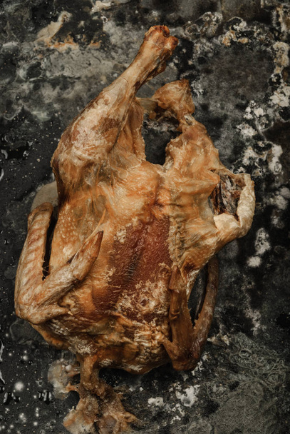 Kızarmış tavuk küflü - Fotoğraf, Görsel