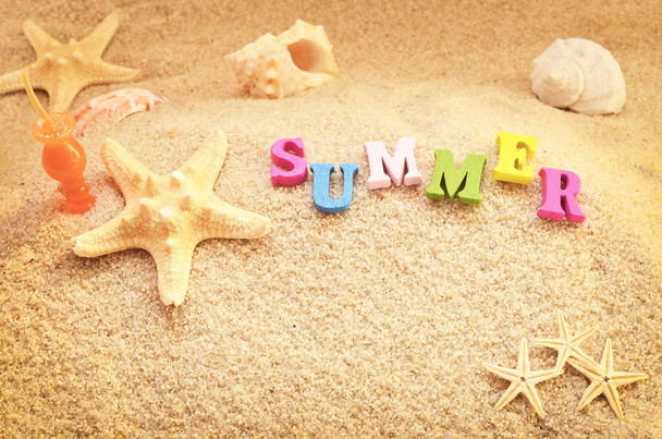 Sea shell on sand, top view, summer concept - Photo, Image