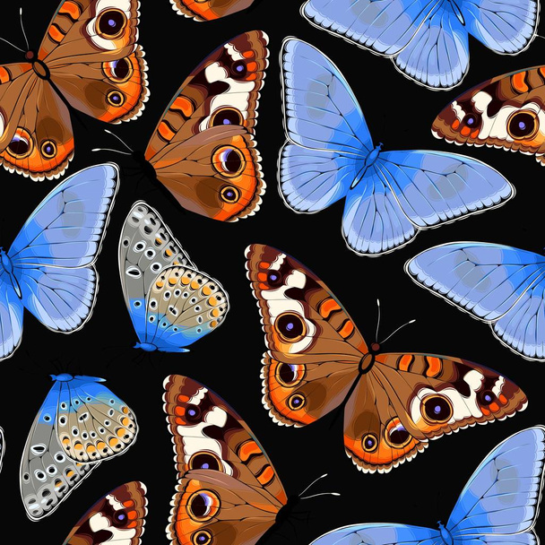 Varicolored butterflies seamless - Vector, Image