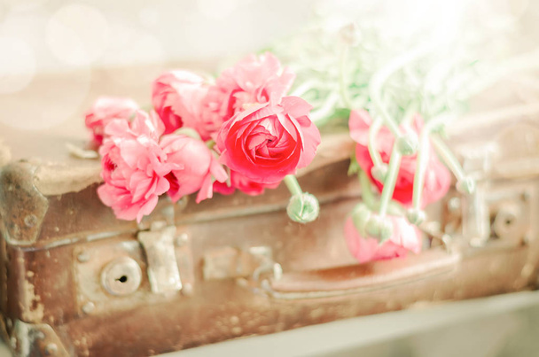Розовые цветы на старом ретро чемодане
 - Фото, изображение