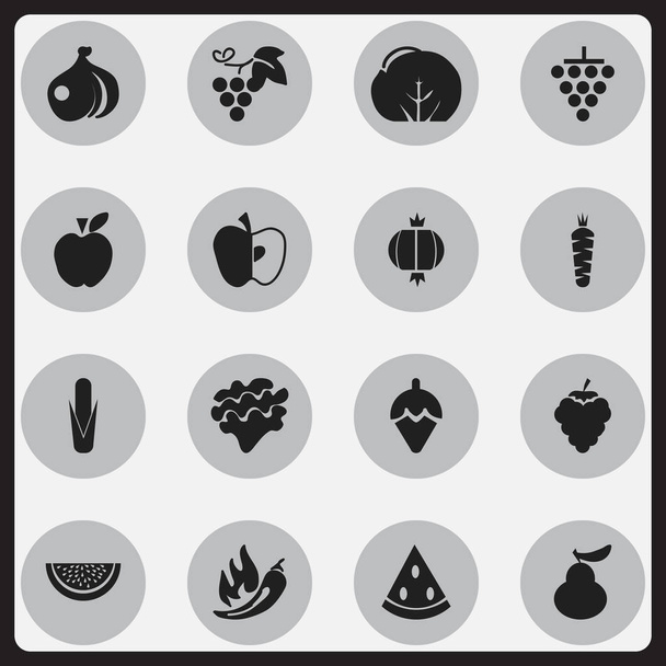 Joukko 16 Syötävä kasvissyöjä kuvakkeet. Sisältää symboleja, kuten Sokeriallas, sipuli, lamppu ja enemmän. Voidaan käyttää Web, Mobile, UI ja Infographic Design
. - Vektori, kuva