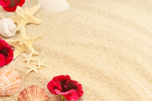 Sea shell and flowers on sand, top view, summer concept - Photo, Image