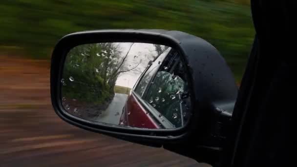 Vleugel spiegel rijden in en uit de bossen - Video