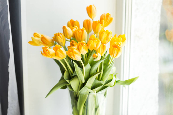 Vase with yellow tulips on the window - Photo, image