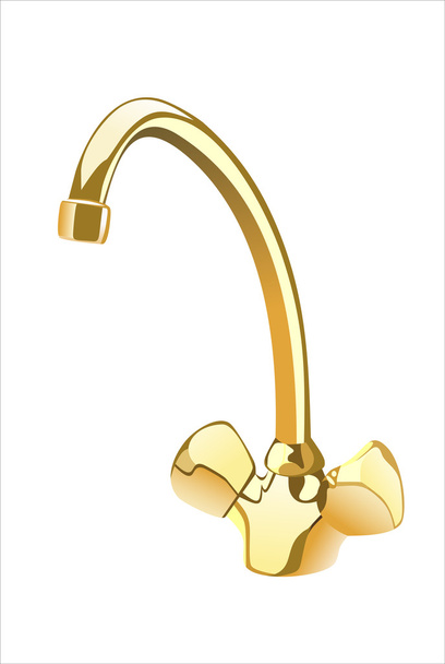 Gold plated water tap isolated on white background - ベクター画像