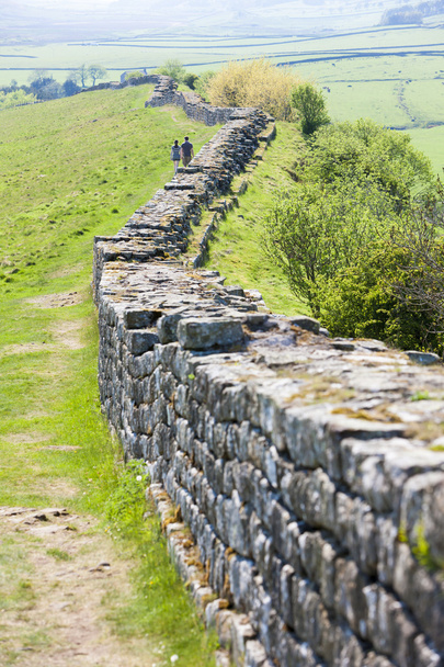 ハドリアヌスの城壁,ノーサンバーランド,イギリス - 写真・画像