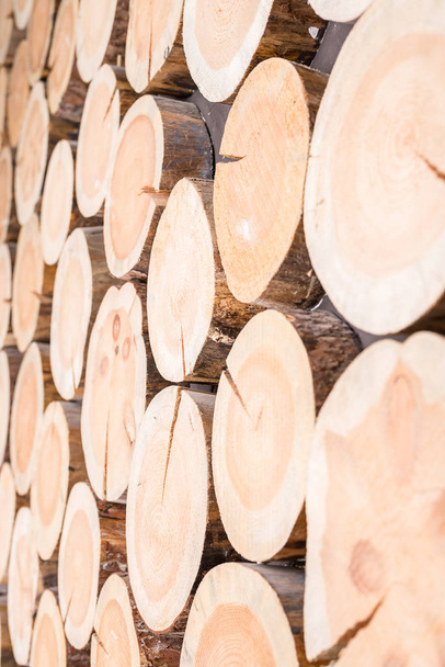 Fondo vertical de troncos de madera de diferentes tamaños
 - Foto, Imagen