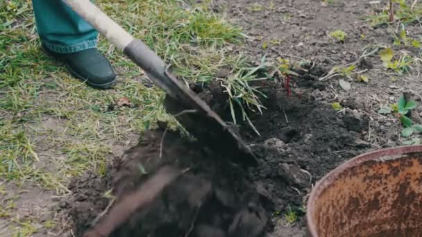 der Mann im Garten mit einer Schaufel, die ein Loch in den Boden gräbt - Filmmaterial, Video