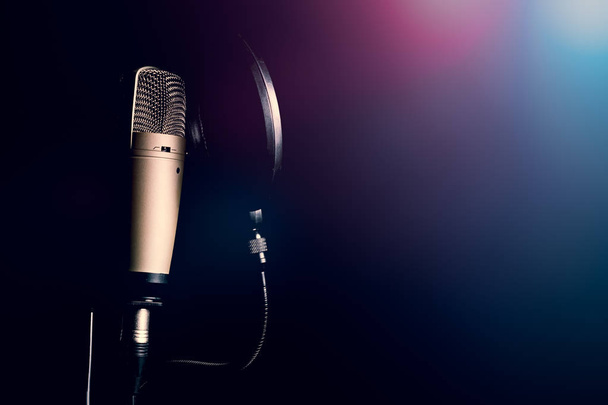 Επαγγελματική πυκνωτικό μικρόφωνο με φίλτρο ποπ - Φωτογραφία, εικόνα