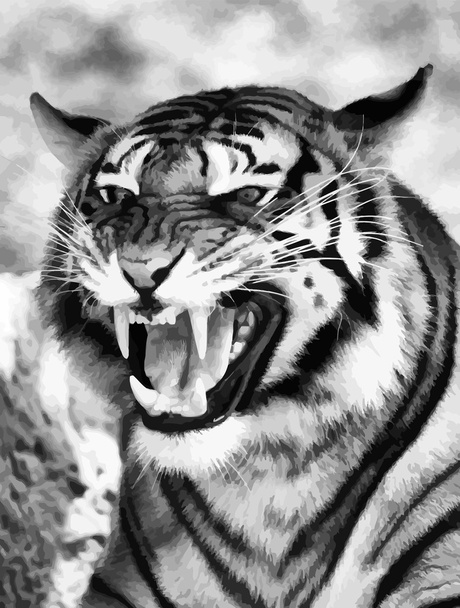 Angry Face Tiger B&W Vector - Vector, Image